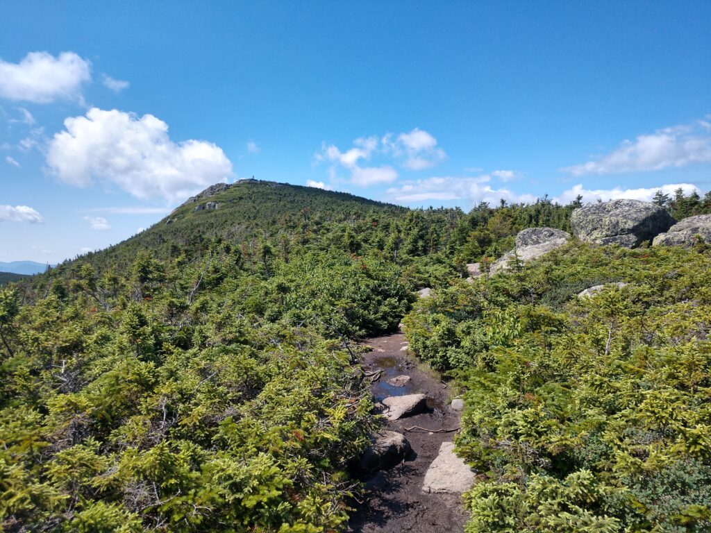 The View of South Twin Mountain from North Twin