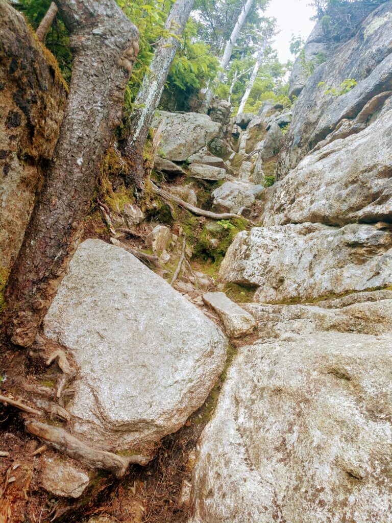 Blueberry Ledge Rock Scramble