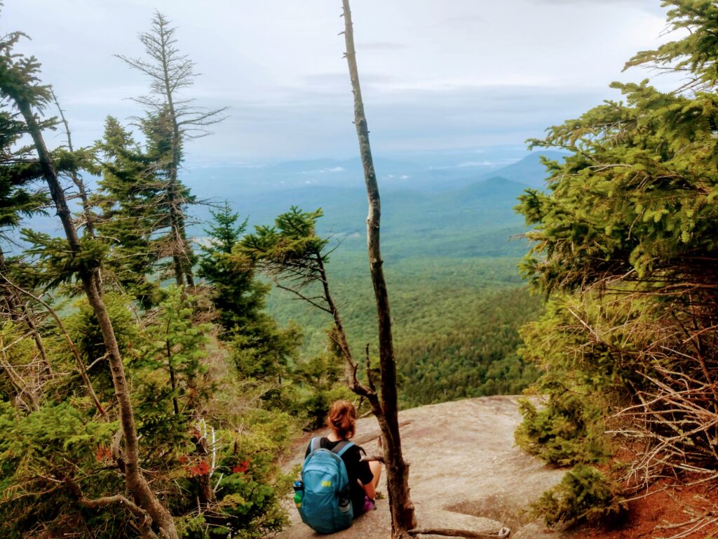 View from Blueberry Ridge