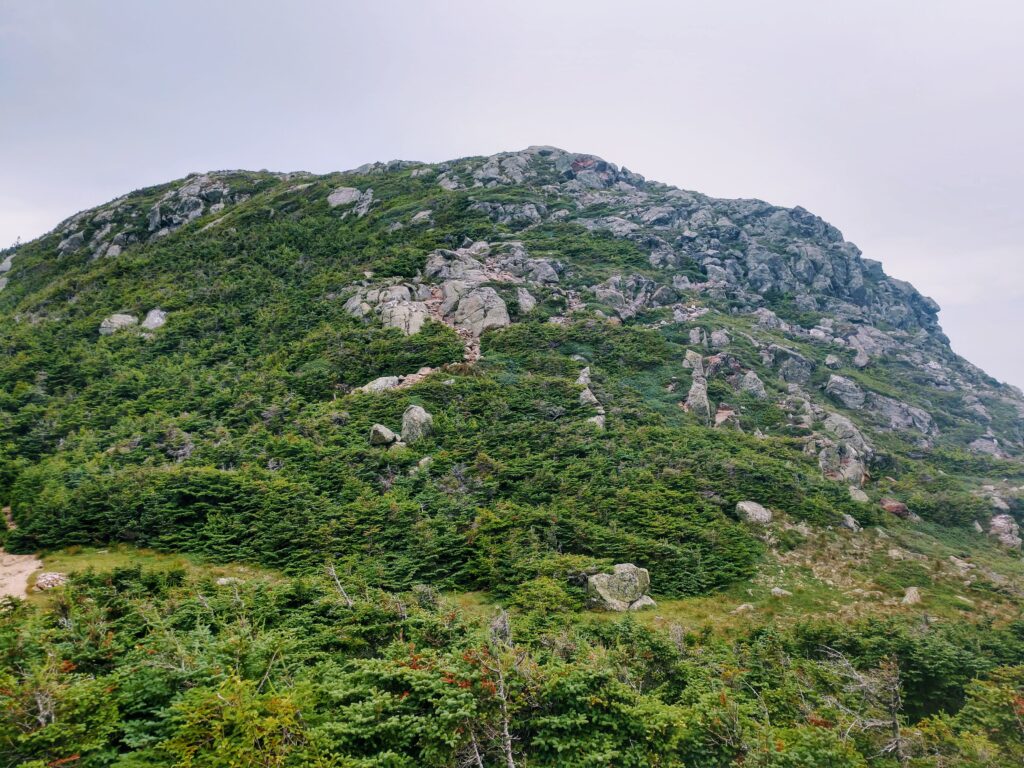 View of Mt Eisenhower from the Edmands Path