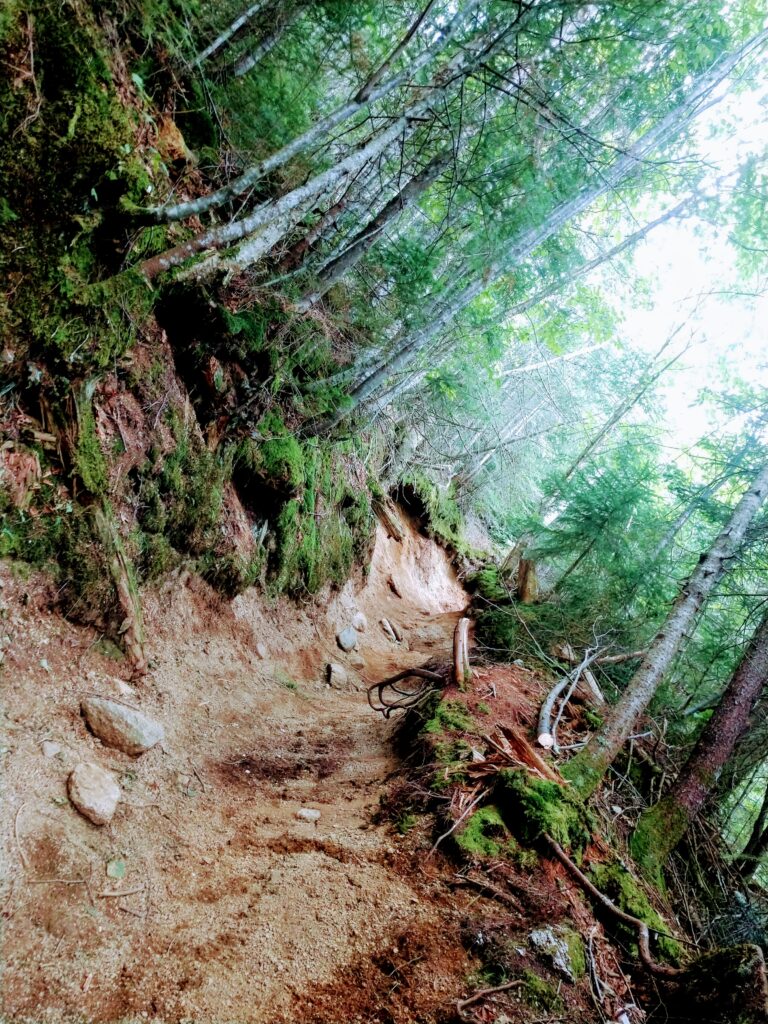 Mud Chutes on the Trail Going up Cannon Mountain