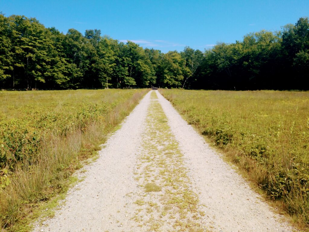 Old Country Lane