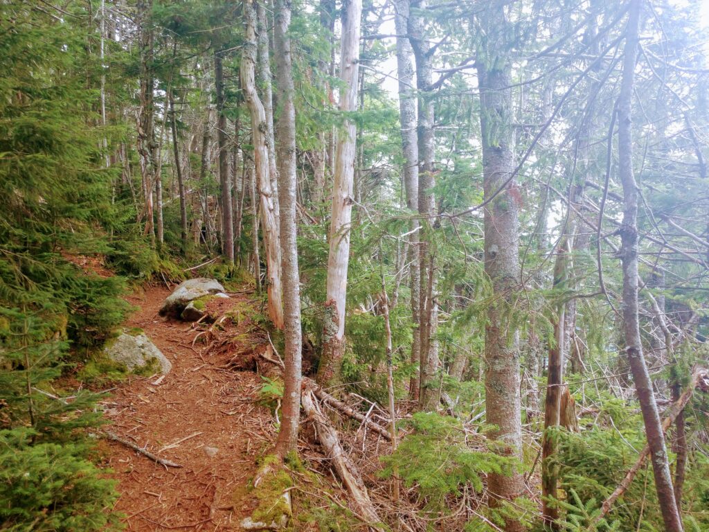 The Rollins Trail Connecting Mt Whiteface to Passaconway