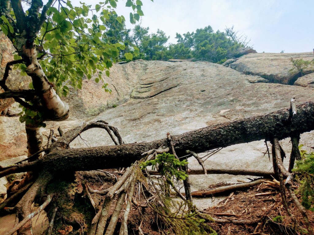 One of the many rock scrambles along the Blueberry Ledge