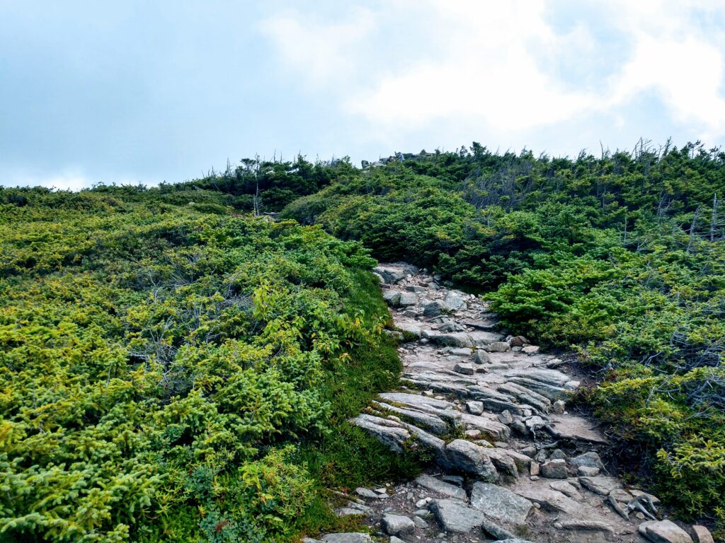 The Alpine Zone Trail at the Top of Bondcliff