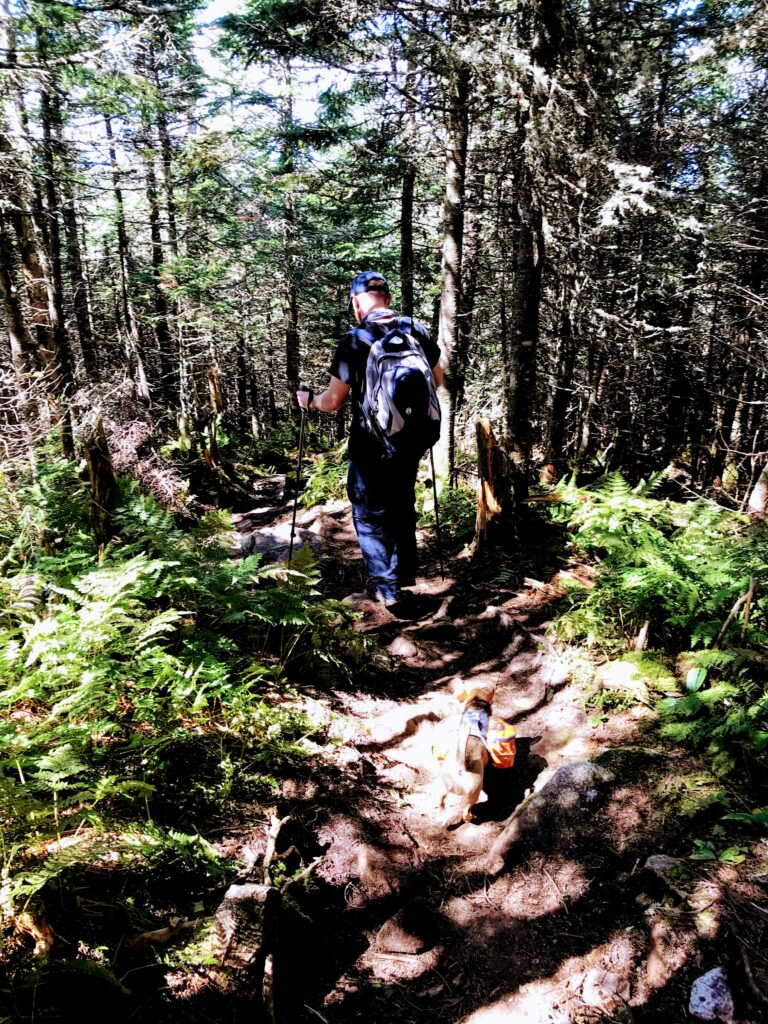 Brad Descending the Trail from Mt Waumbek