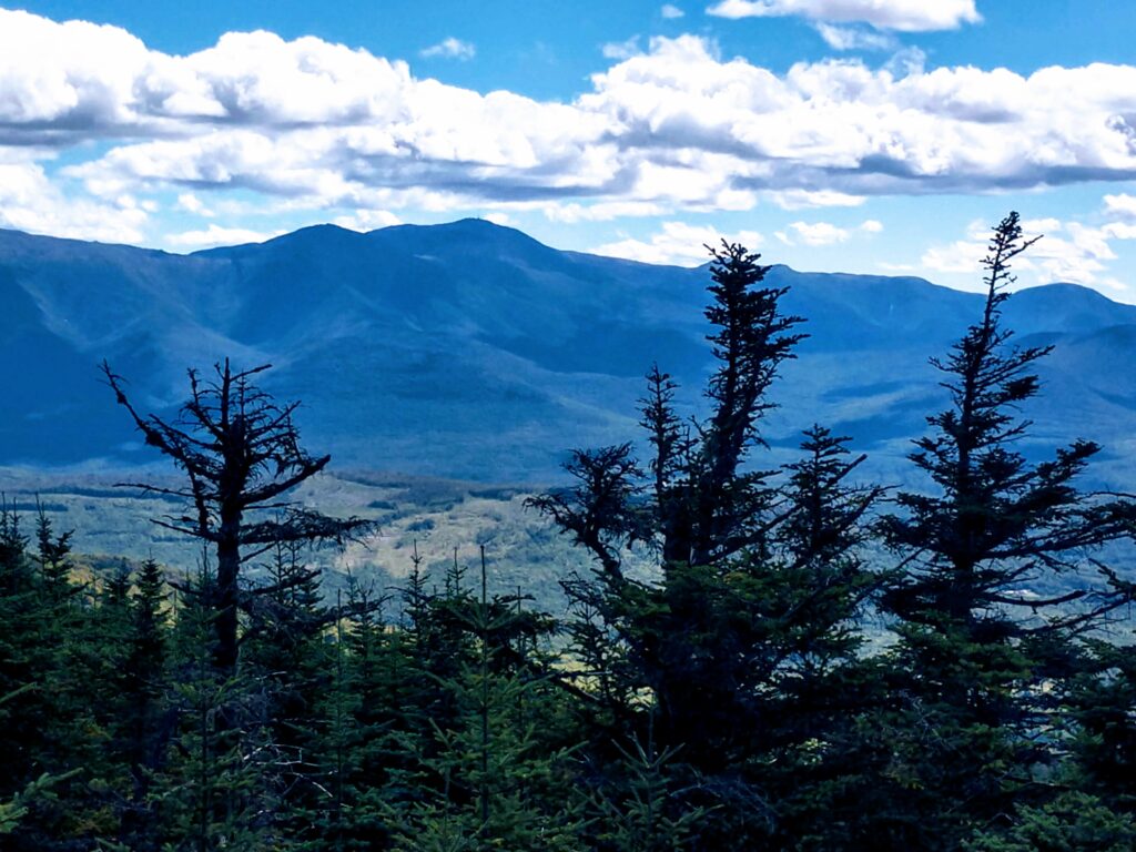 Mt Washington