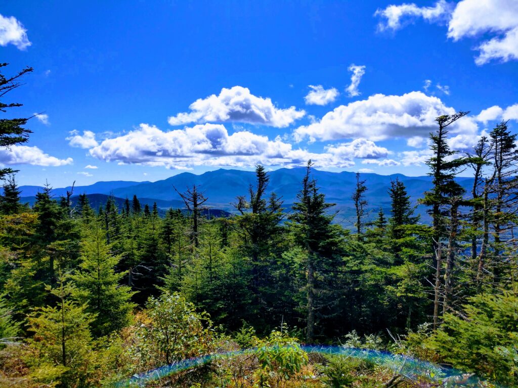 Mt Washington from Mt Starr King