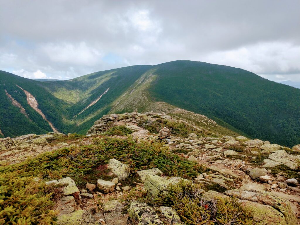 The ridge trail to Mt Bond