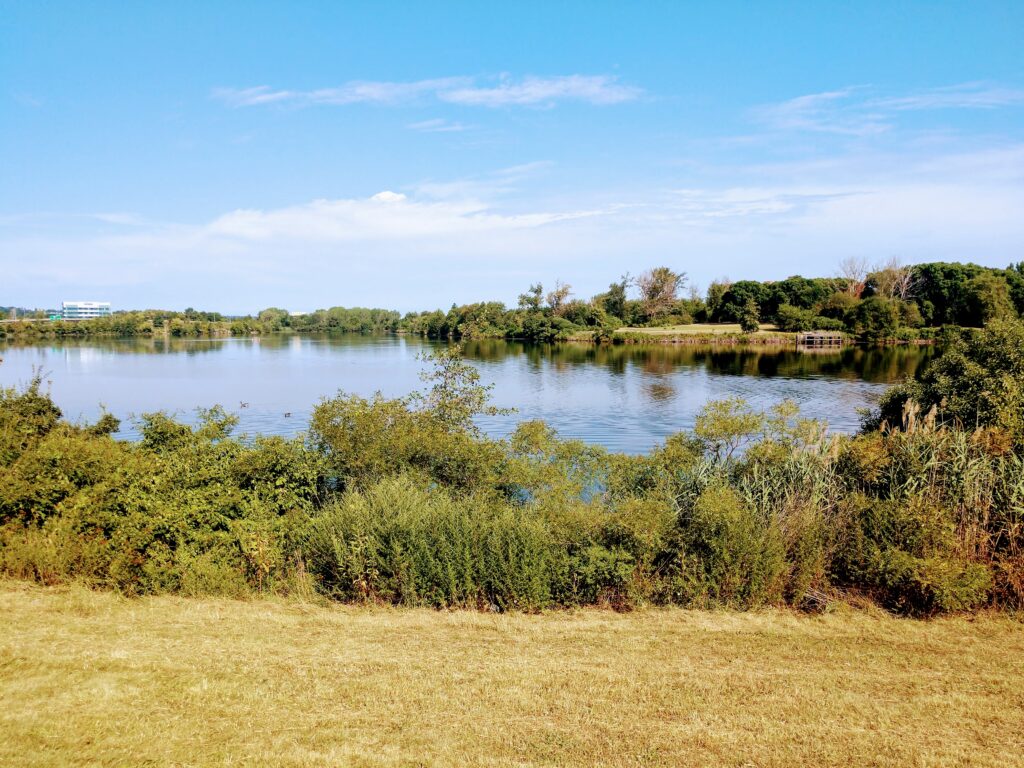 View of the Mystic River