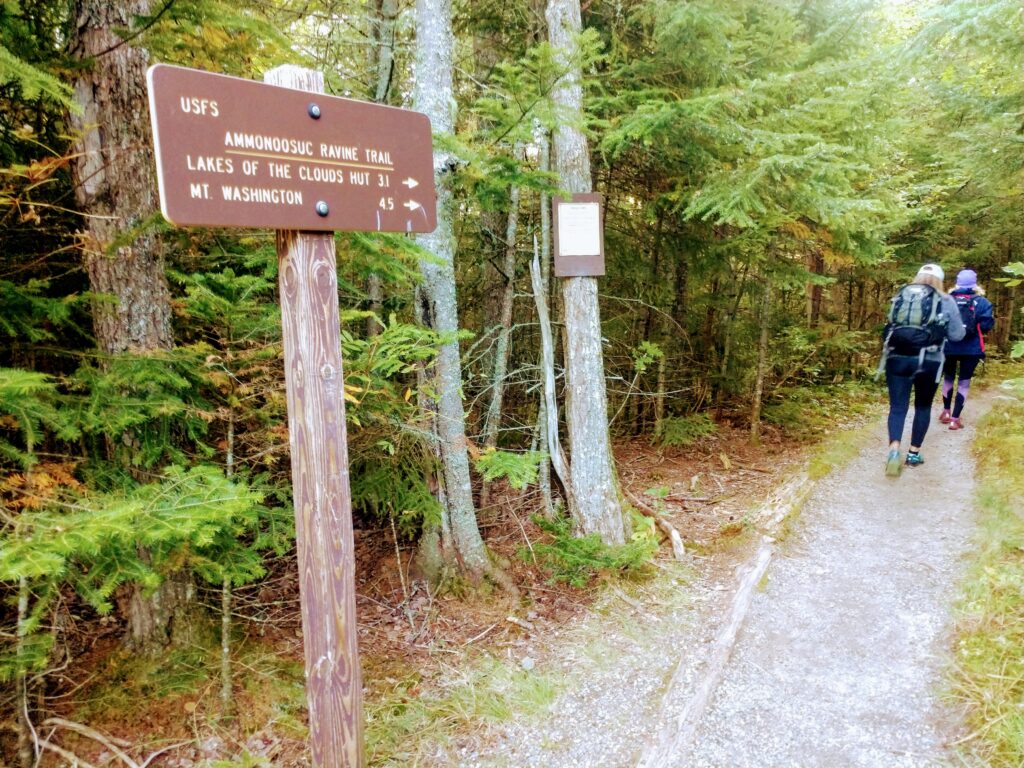 Ammonoosuc Trailhead