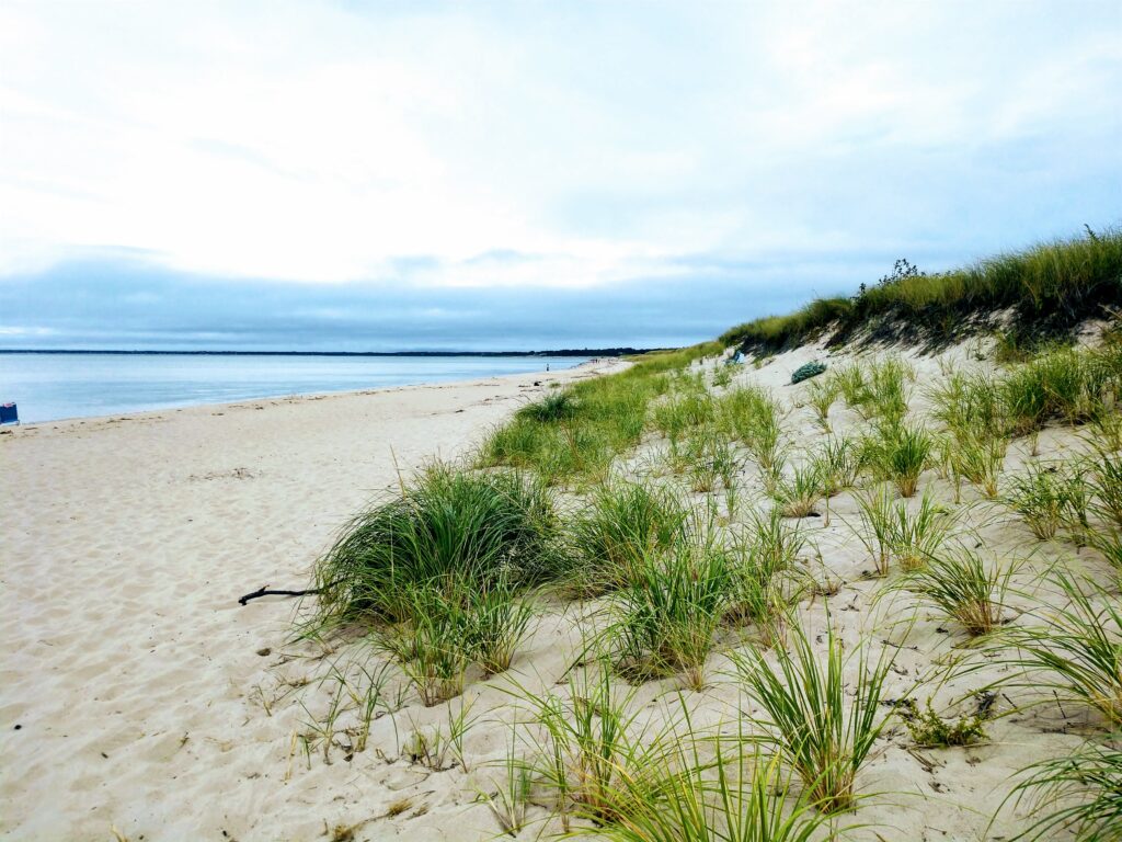 Near Cape Cod Rail Trail