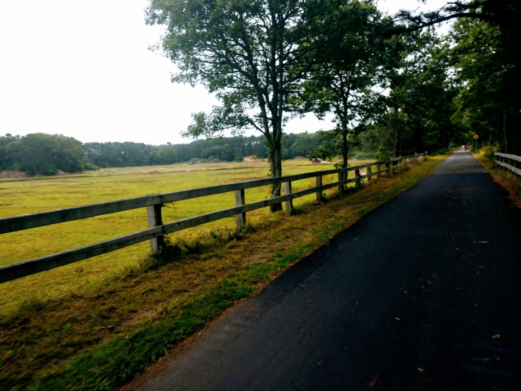 Fields Along the Cape Cod Rail Trail