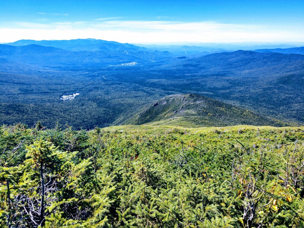 The Lush Jewell Trail