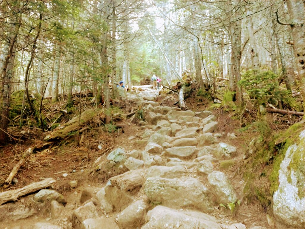 Rocky Trail up Mt Washington