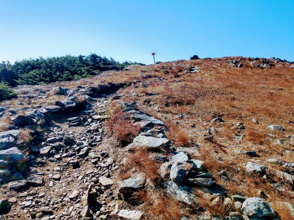 Almost at the Moosilauke Summit