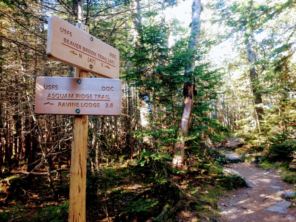 Beaver Brook Trail Sign at Asquam Ridge Trail