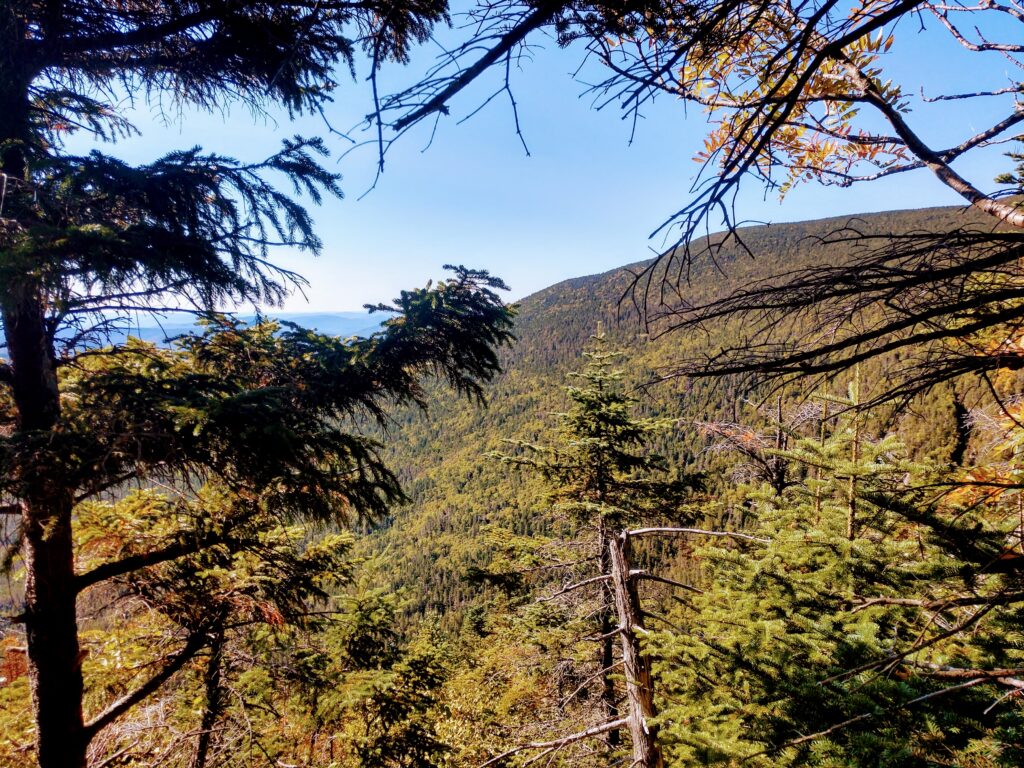 Mt Moosilauke from the Beaver Brook Trail