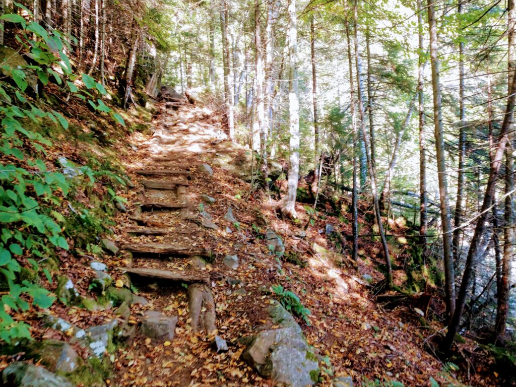 Worn Stairs Made from Logs