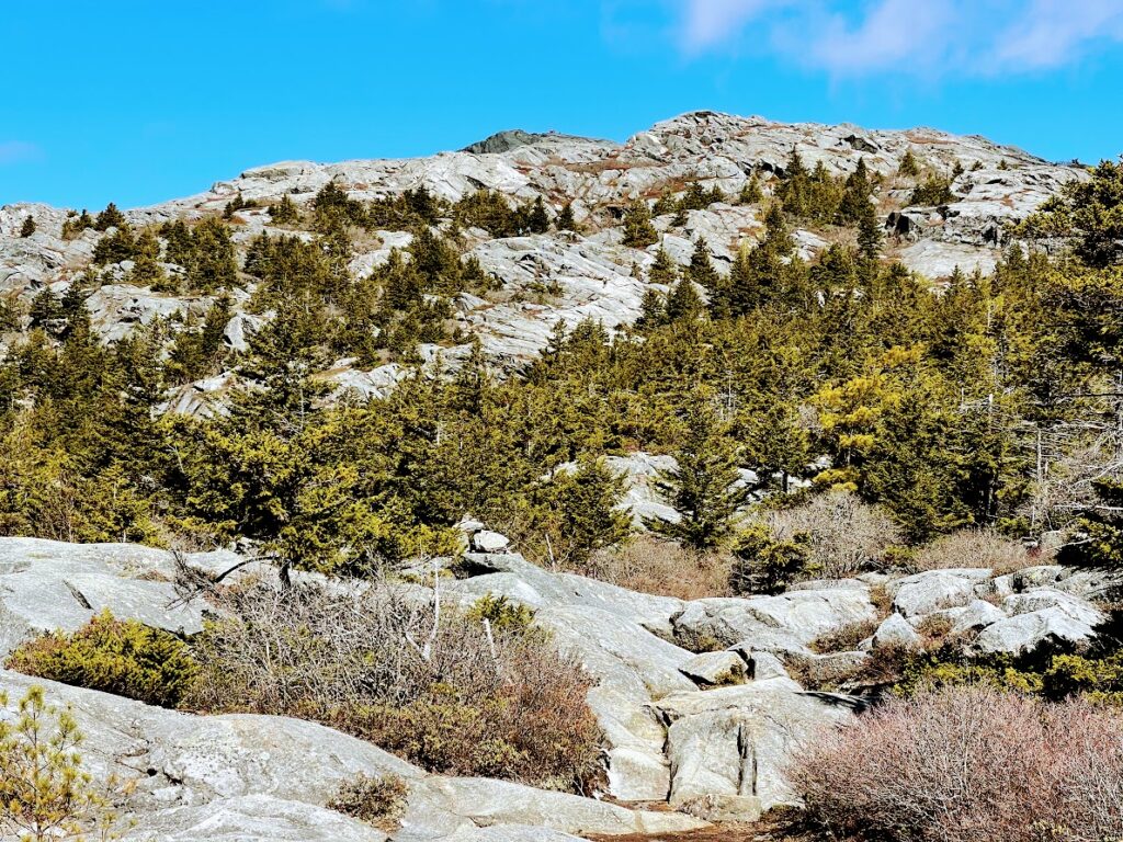 Looking Back at the Summit Descending Mt Monadnock