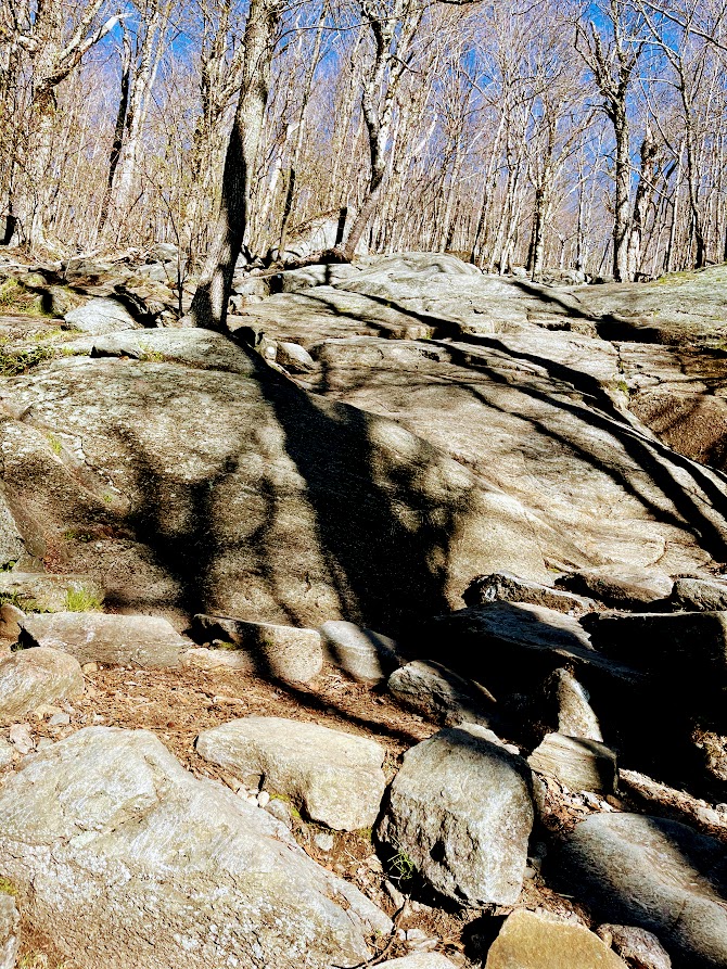 Rock Slabs near the Base of Mt Monadnock