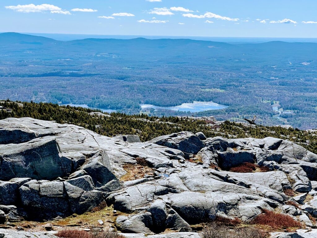 View from Monadnock with Bird Soaring