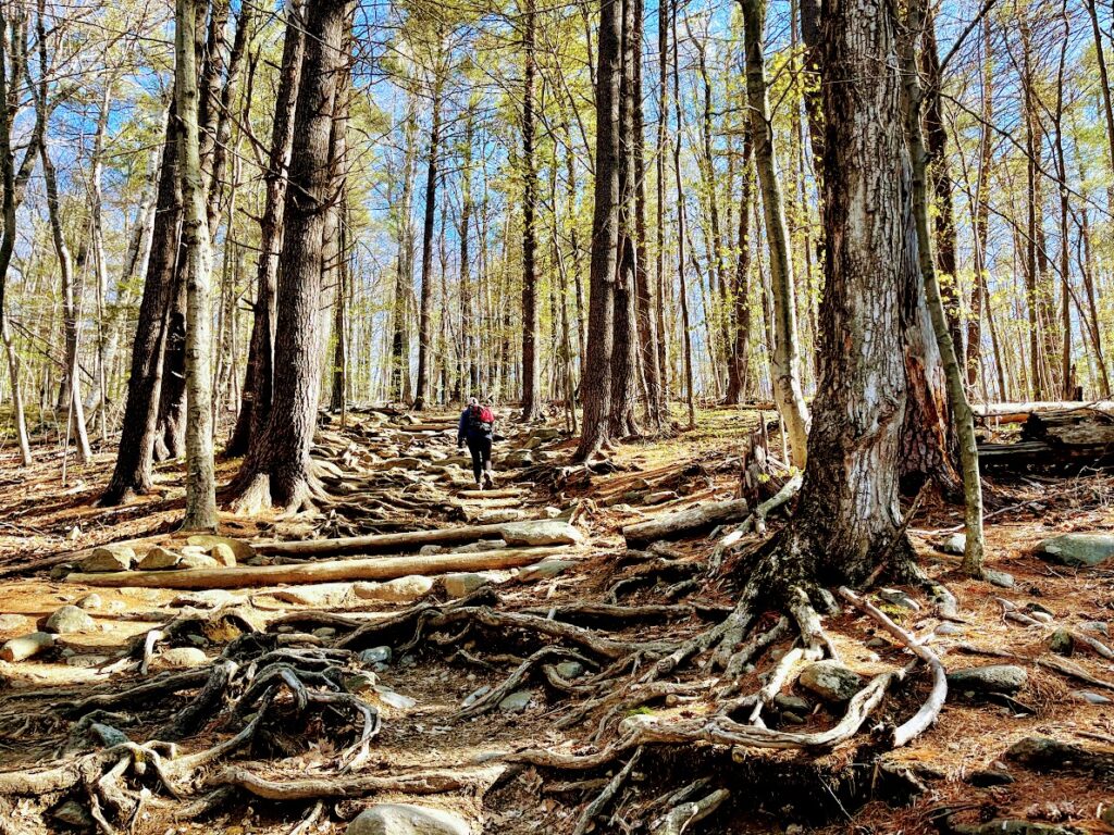 Wooden Staircase Going Up Mt Monadnock