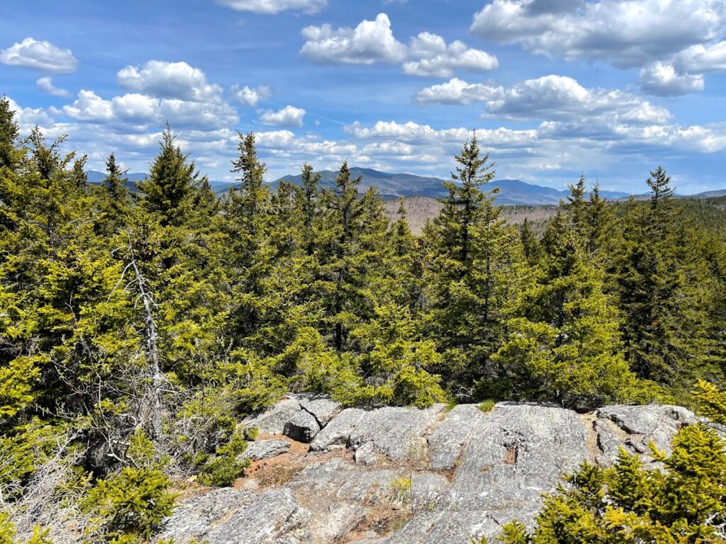 View of the White Mountains from Mt Percival