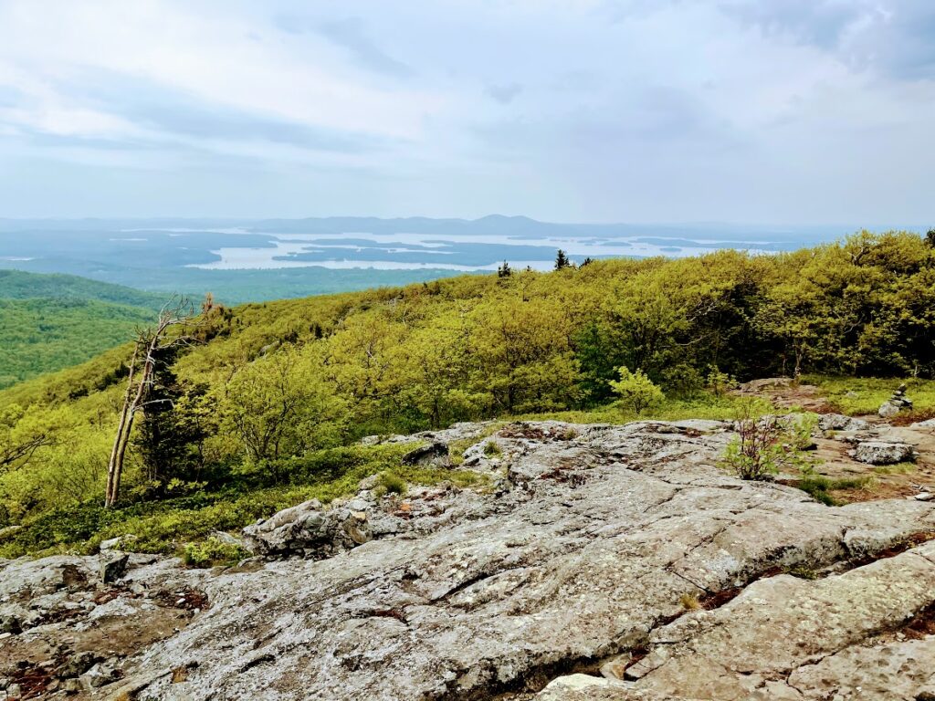 View from the Peak of Mt Roberts